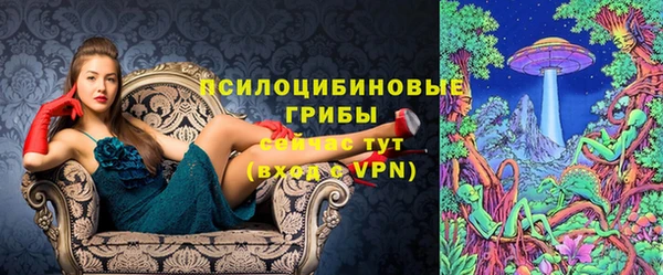 сатива Алексин