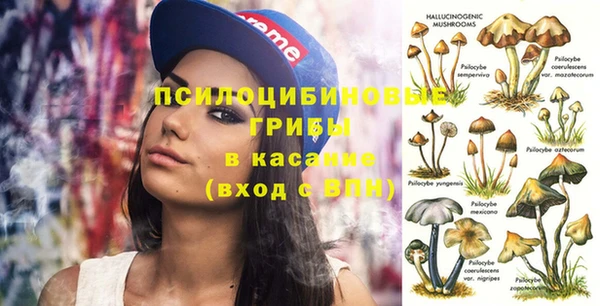 ECSTASY Алексеевка