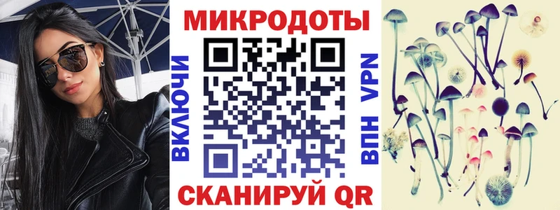 Псилоцибиновые грибы Psilocybe  Лесосибирск 
