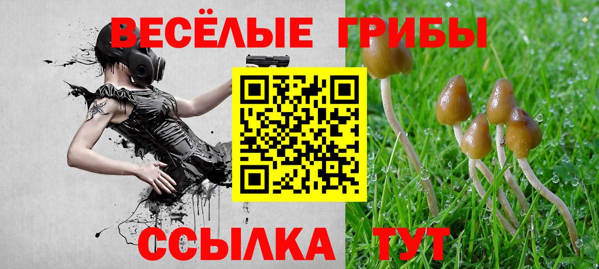 Псилоцибиновые грибы мухоморы Лесосибирск