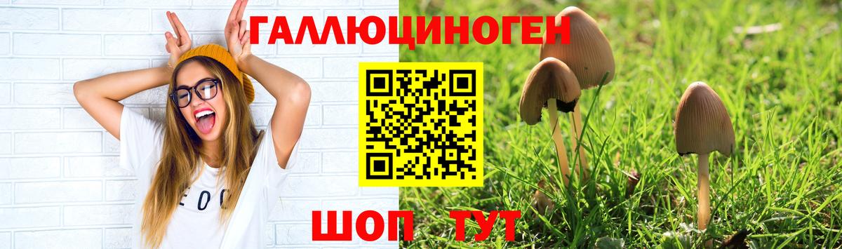 Лесосибирск  Псилоцибиновые грибы Magic Shrooms  Вход с VPN 