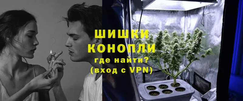 где купить наркоту  Лесосибирск  Конопля индика 