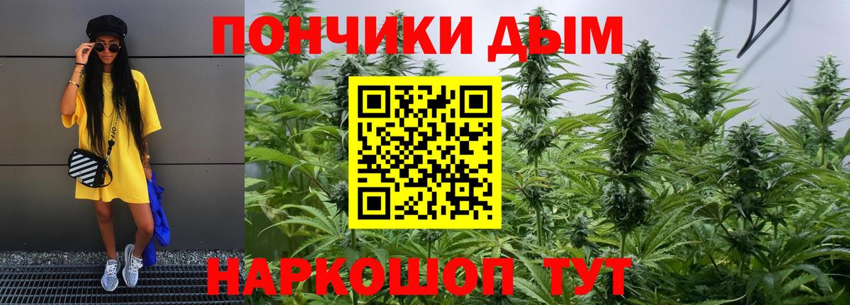 Канабис конопля Лесосибирск
